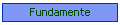 Fundamente