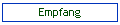 Empfang