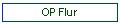 OP Flur