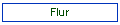 Flur