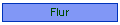 Flur